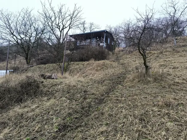 Prodej zahrady, Žalhostice, 4185 m2