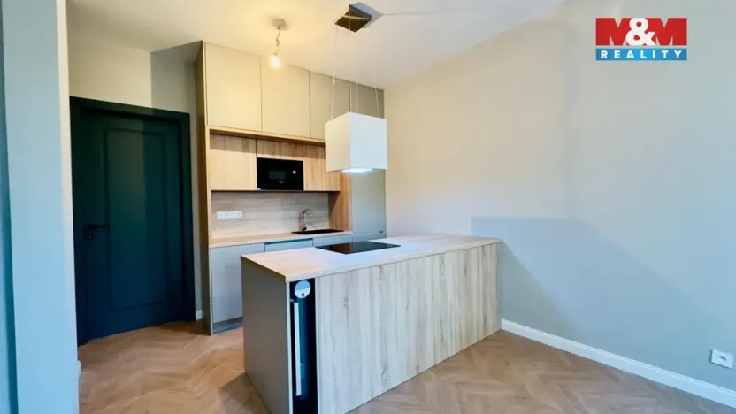 Pronájem bytu 2+kk, Opava - Předměstí, Riegrova, 56 m2