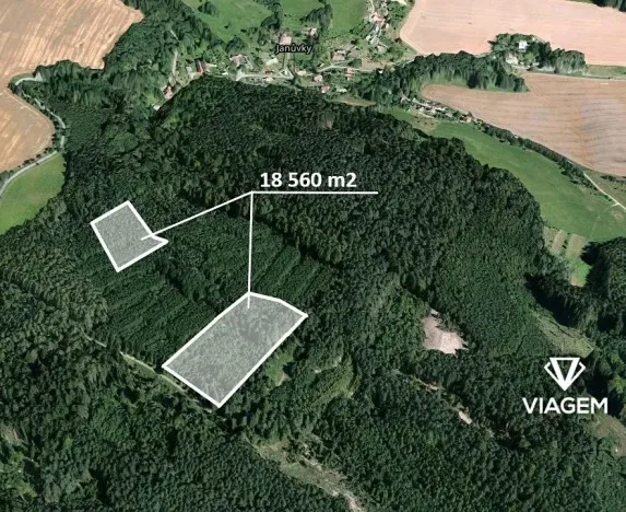 Prodej lesa, Březina, 18560 m2