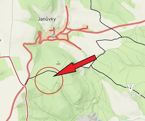 Prodej lesa, Březina, 18560 m2