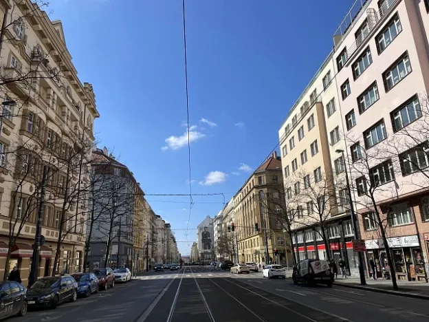 Prodej bytu 2+1, Praha, Vinohradská, 73 m2