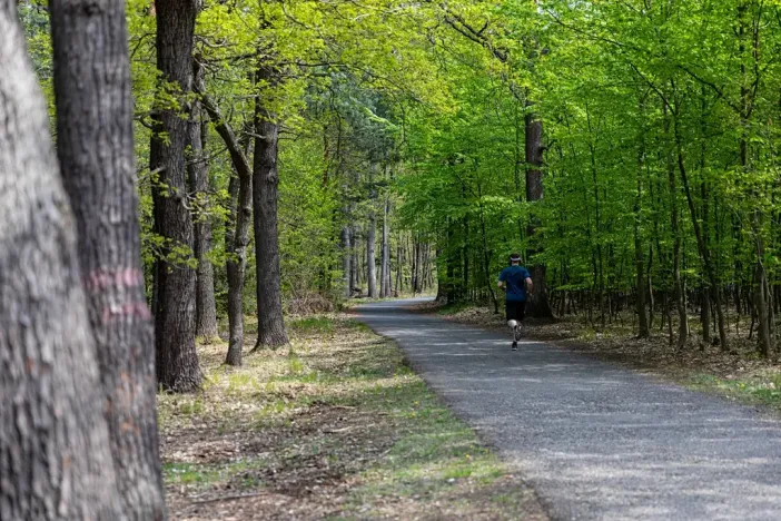 Pronájem kanceláře, Praha - Chodov, Tomíčkova, 5000 m2