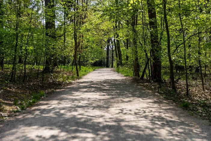 Pronájem kanceláře, Praha - Chodov, Tomíčkova, 500 m2