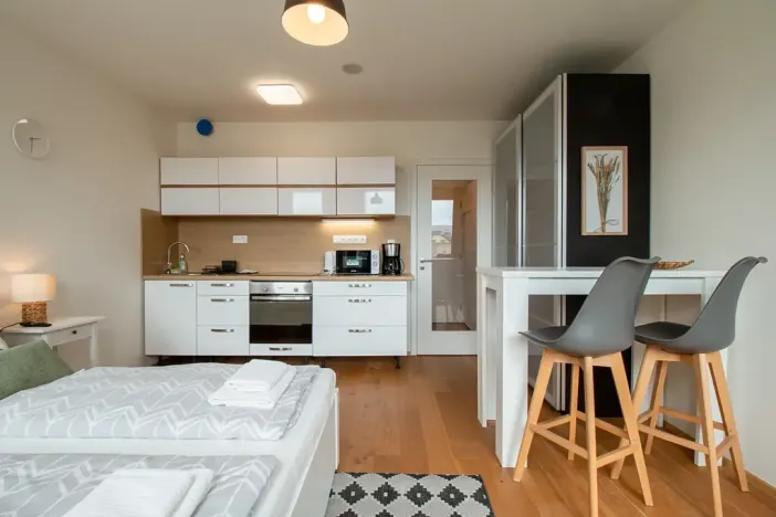 Pronájem bytu 1+kk, Praha - Vinohrady, Perucká, 25 m2