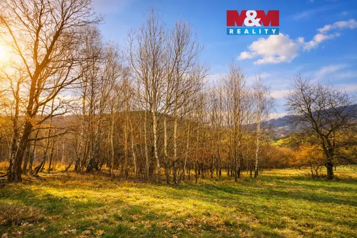 Prodej louky, Mikulůvka, 5876 m2