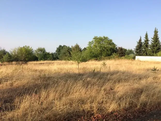 Prodej pozemku, Hradec Králové, 3953 m2