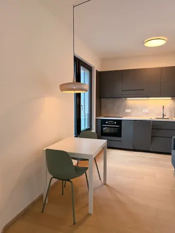 Pronájem bytu 1+kk, Praha - Strašnice, Michelangelova, 37 m2