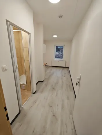 Pronájem bytu 1+kk, Praha - Hlubočepy, Na Zlíchově, 20 m2