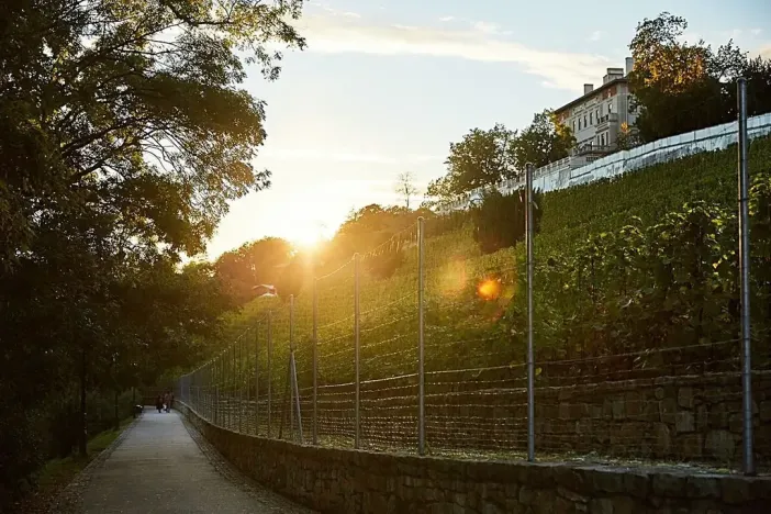 Prodej bytu 2+kk, Praha - Nusle, Bělehradská, 54 m2