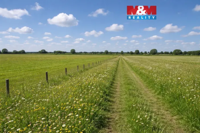 Prodej louky, Třemošná, 16129 m2