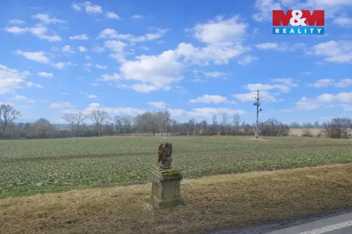 Prodej pozemku pro bydlení, Hostomice - Radouš, 1248 m2