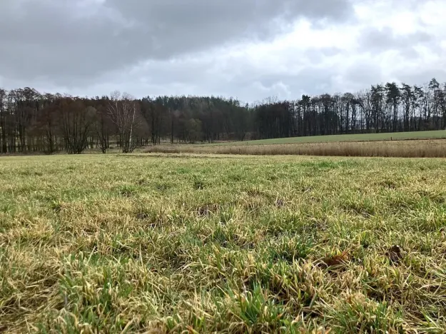 Prodej zemědělského objektu, Dolní Město, 124655 m2