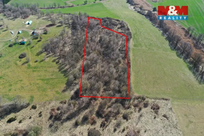 Prodej lesa, Obytce, 20042 m2