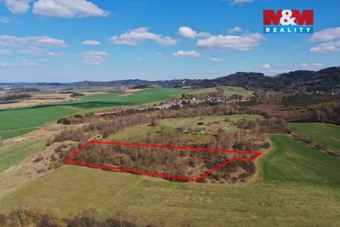 Prodej lesa, Obytce, 20042 m2