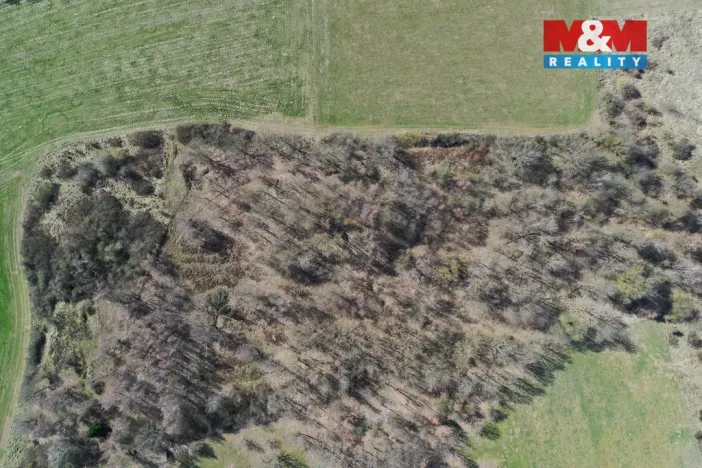 Prodej lesa, Obytce, 20042 m2