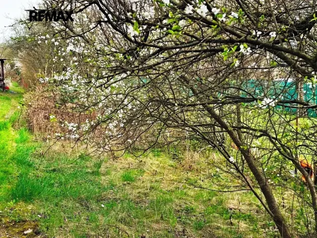 Prodej zahrady, Brno, 433 m2