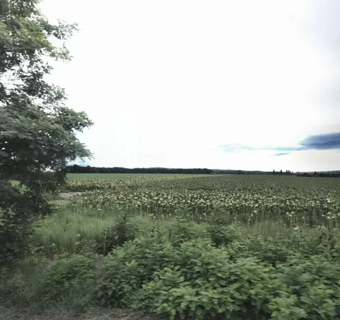 Prodej pole, Vranovice, 8591 m2