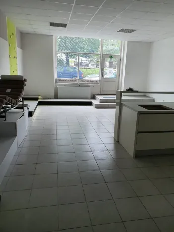 Pronájem obchodního prostoru, Jihlava, Havlíčkova, 60 m2