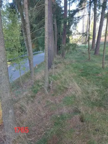 Prodej lesa, Nový Rychnov, 7440 m2