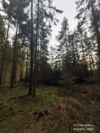 Prodej lesa, Pošná, 12283 m2