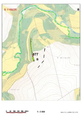 Prodej lesa, Rovná, 2569 m2
