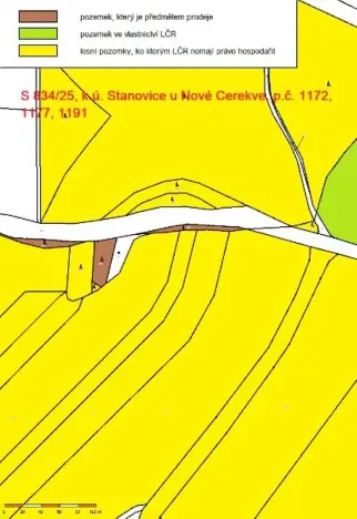 Prodej lesa, Nová Cerekev, 1967 m2