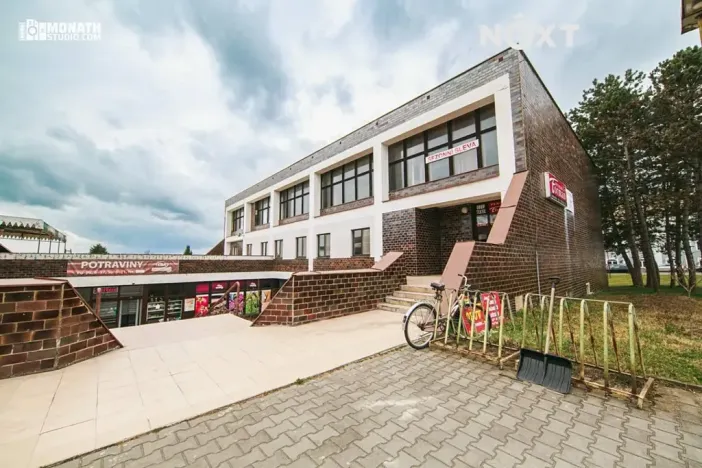 Prodej komerční nemovitosti, Čejč, 3500 m2