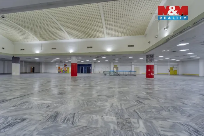 Pronájem obchodního prostoru, Plzeň - Východní Předměstí, Americká, 1603 m2