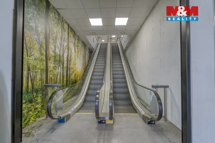 Pronájem obchodního prostoru, Plzeň - Východní Předměstí, Americká, 1603 m2