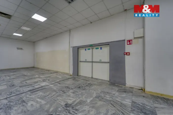 Pronájem obchodního prostoru, Plzeň - Východní Předměstí, Americká, 1603 m2