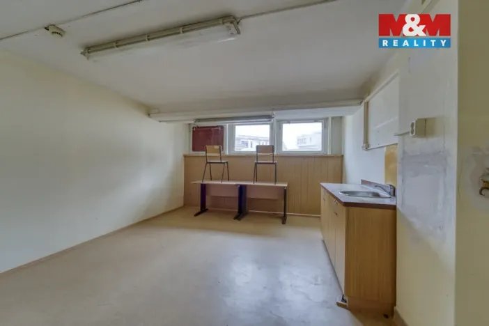 Pronájem obchodního prostoru, Plzeň - Východní Předměstí, Americká, 1603 m2