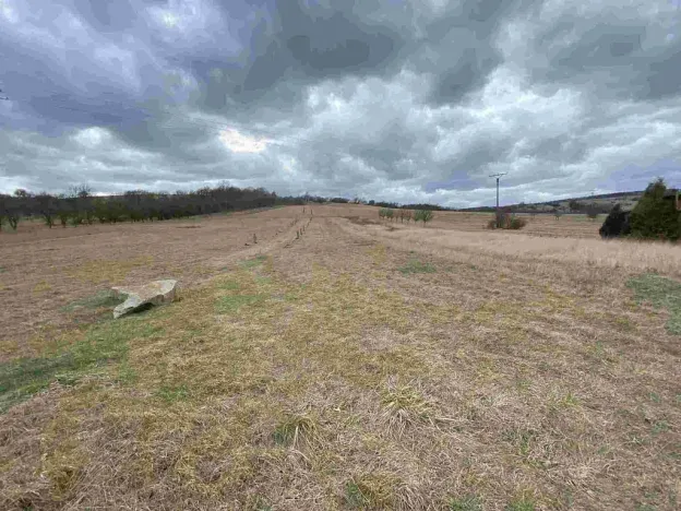 Prodej pole, Javorník, 71 m2