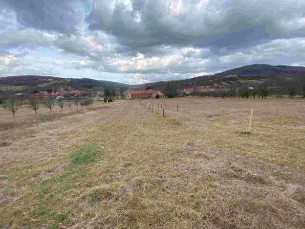 Prodej pole, Javorník, 71 m2