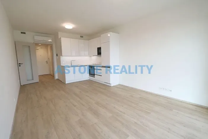 Pronájem bytu 1+kk, Praha - Žižkov, Šrámkové, 43 m2