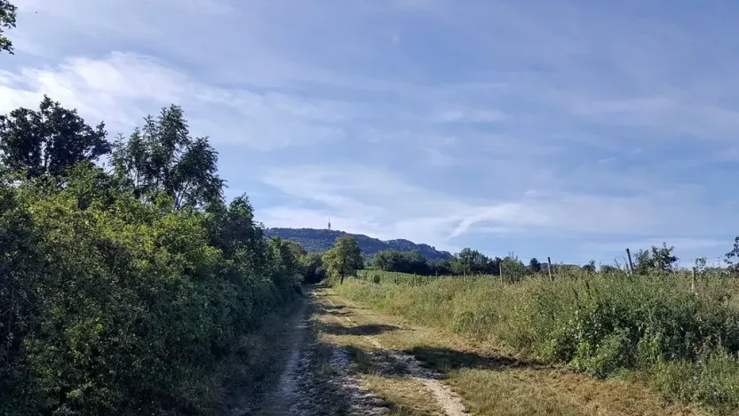 Prodej pozemku pro bydlení, Dolní Věstonice, 1941 m2