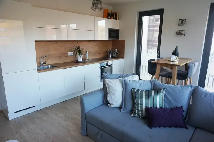 Prodej bytu 2+kk, Praha - Žižkov, Olšanská, 62 m2