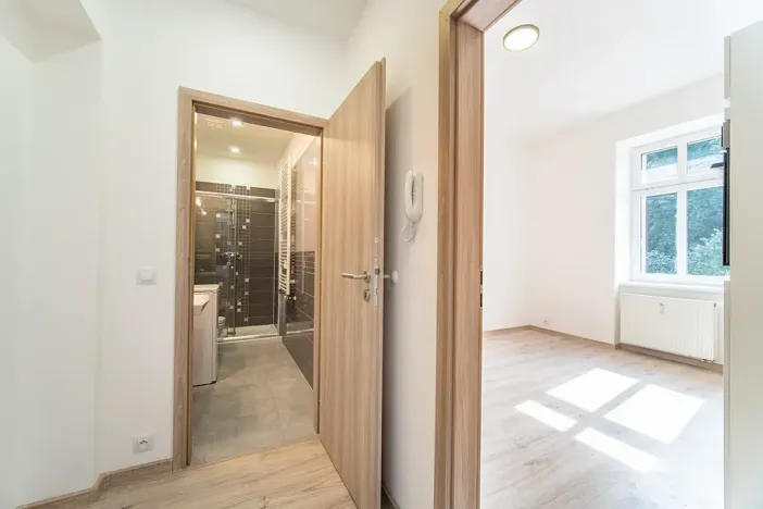 Pronájem bytu 1+1, Praha - Libeň, Pod Labuťkou, 40 m2