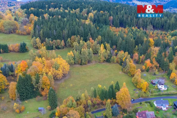 Prodej louky, Tanvald - Šumburk nad Desnou, 2029 m2