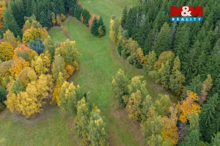 Prodej louky, Tanvald - Šumburk nad Desnou, 2029 m2