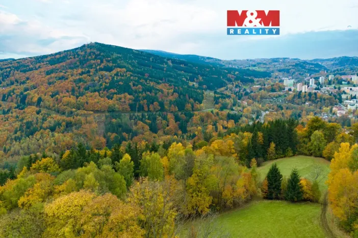 Prodej louky, Tanvald - Šumburk nad Desnou, 1589 m2