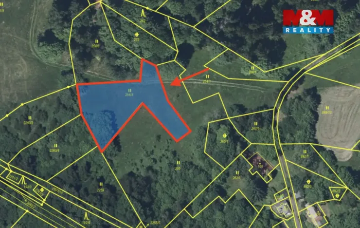 Prodej louky, Tanvald - Šumburk nad Desnou, 1589 m2