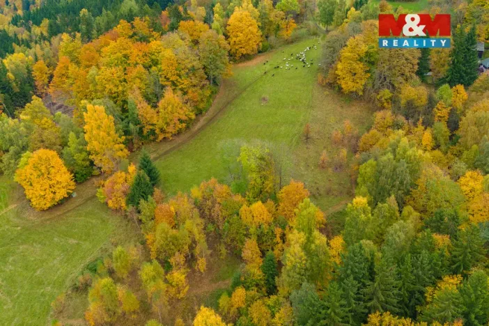 Prodej louky, Tanvald - Šumburk nad Desnou, 1589 m2