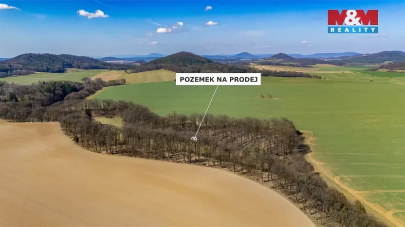 Prodej louky, Tachov, 12761 m2