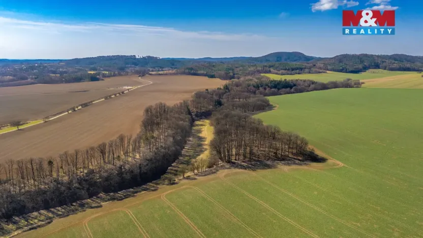 Prodej louky, Tachov, 12761 m2