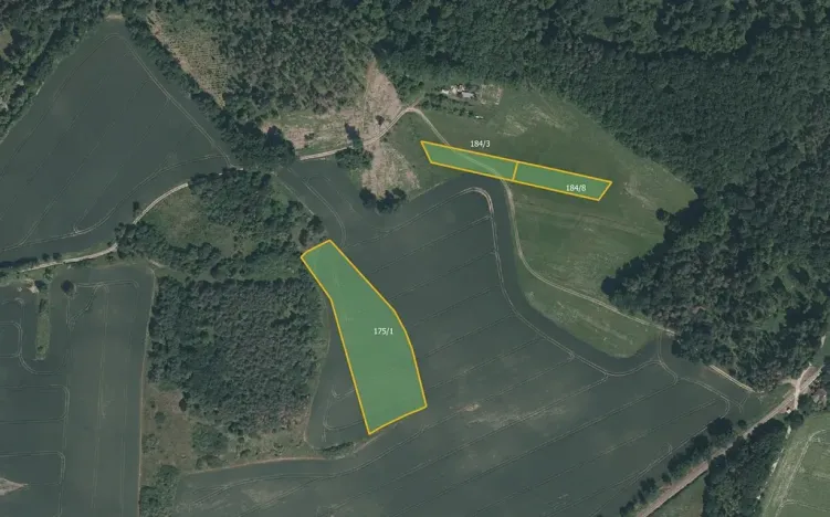 Prodej pole, Čížová, 5743 m2