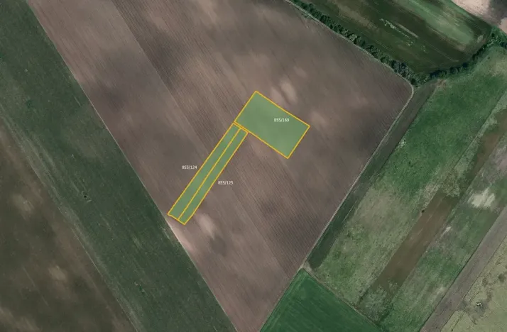 Prodej pole, Břeclav, 62435 m2