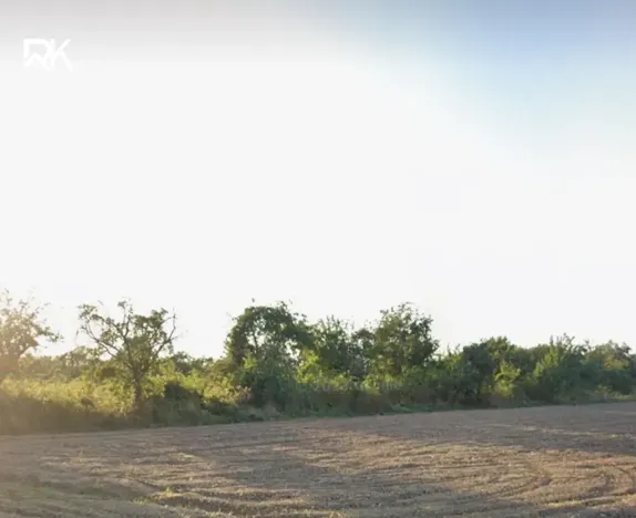 Prodej komerčního pozemku, Souňov, 3948 m2