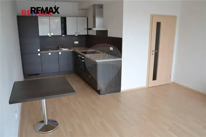 Pronájem bytu 2+kk, Plzeň, Štefánikova, 59 m2