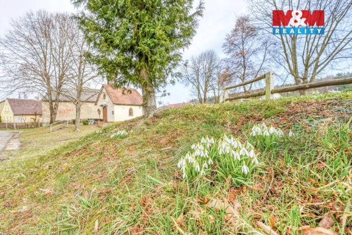 Prodej pozemku pro bydlení, Přimda - Újezd pod Přimdou, 927 m2