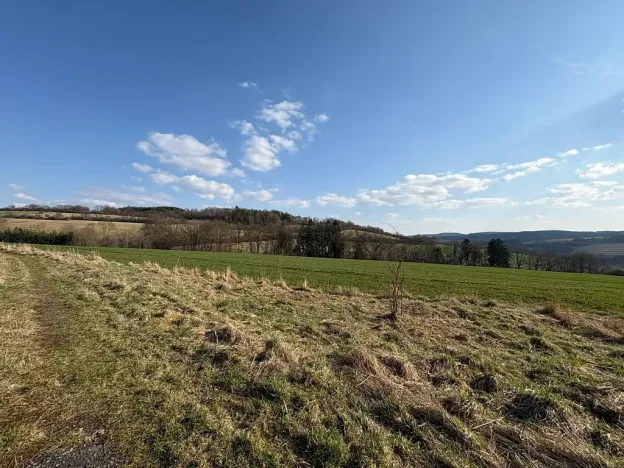 Prodej pozemku pro bydlení, Petrovice, 6579 m2